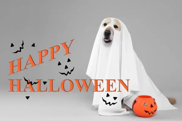 Happy Halloween from Southern Equity Mortgage Services, LLC